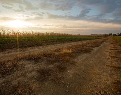 Plate 7 - Calm Before the Storm