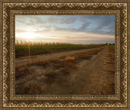 Plate 7 - Calm Before the Storm