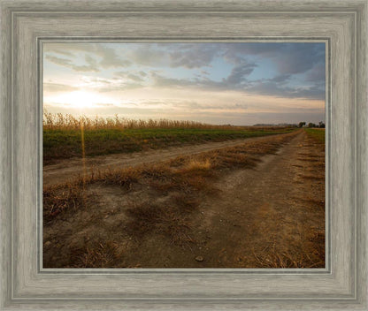 Plate 7 - Calm Before the Storm