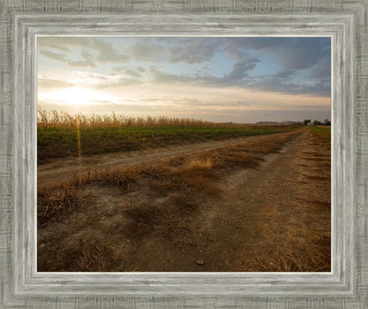 Plate 7 - Calm Before the Storm