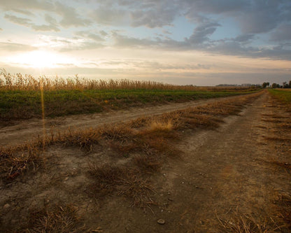 Plate 7 - Calm Before the Storm