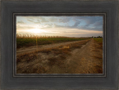 Plate 7 - Calm Before the Storm