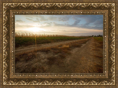 Plate 7 - Calm Before the Storm