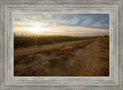 Plate 7 - Calm Before the Storm