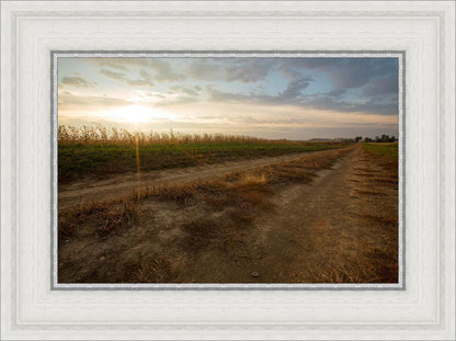 Plate 7 - Calm Before the Storm