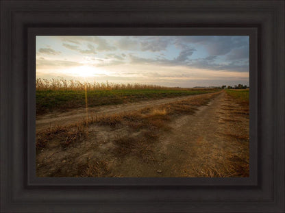 Plate 7 - Calm Before the Storm