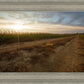 Plate 7 - Calm Before the Storm