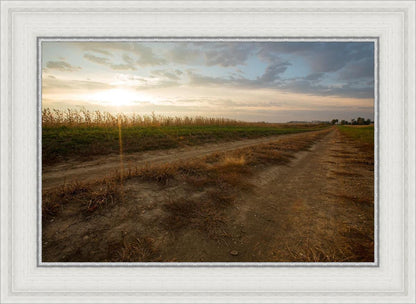 Plate 7 - Calm Before the Storm