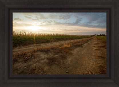 Plate 7 - Calm Before the Storm