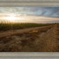 Plate 7 - Calm Before the Storm