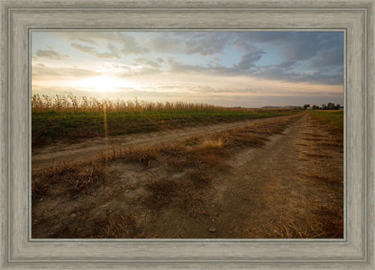 Plate 7 - Calm Before the Storm