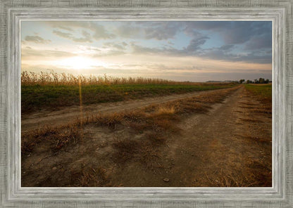 Plate 7 - Calm Before the Storm