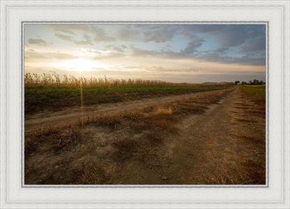 Plate 7 - Calm Before the Storm