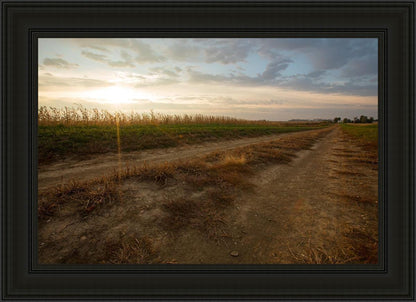 Plate 7 - Calm Before the Storm