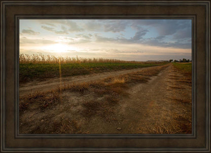 Plate 7 - Calm Before the Storm