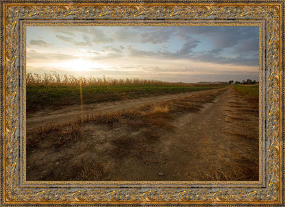 Plate 7 - Calm Before the Storm