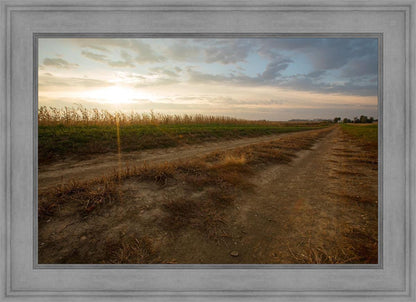 Plate 7 - Calm Before the Storm