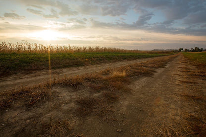 Plate 7 - Calm Before the Storm