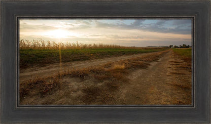 Plate 7 - Calm Before the Storm