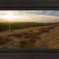Plate 7 - Calm Before the Storm