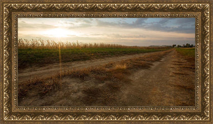 Plate 7 - Calm Before the Storm