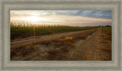 Plate 7 - Calm Before the Storm