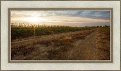 Plate 7 - Calm Before the Storm