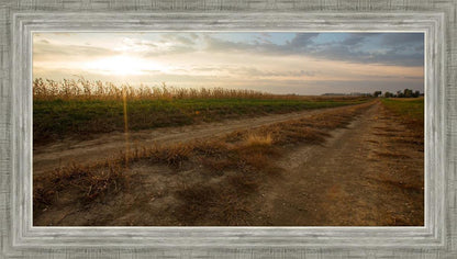 Plate 7 - Calm Before the Storm