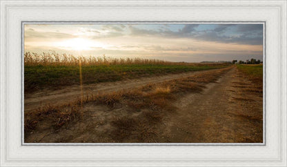 Plate 7 - Calm Before the Storm