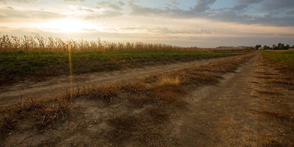 Plate 7 - Calm Before the Storm