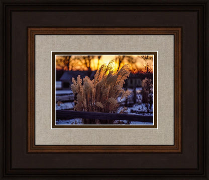 Plate 1 - Sunset Grasses