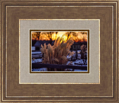 Plate 1 - Sunset Grasses