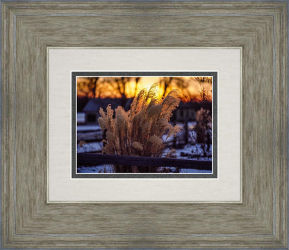 Plate 1 - Sunset Grasses