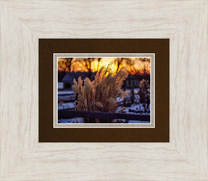 Plate 1 - Sunset Grasses