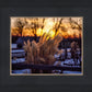 Plate 1 - Sunset Grasses