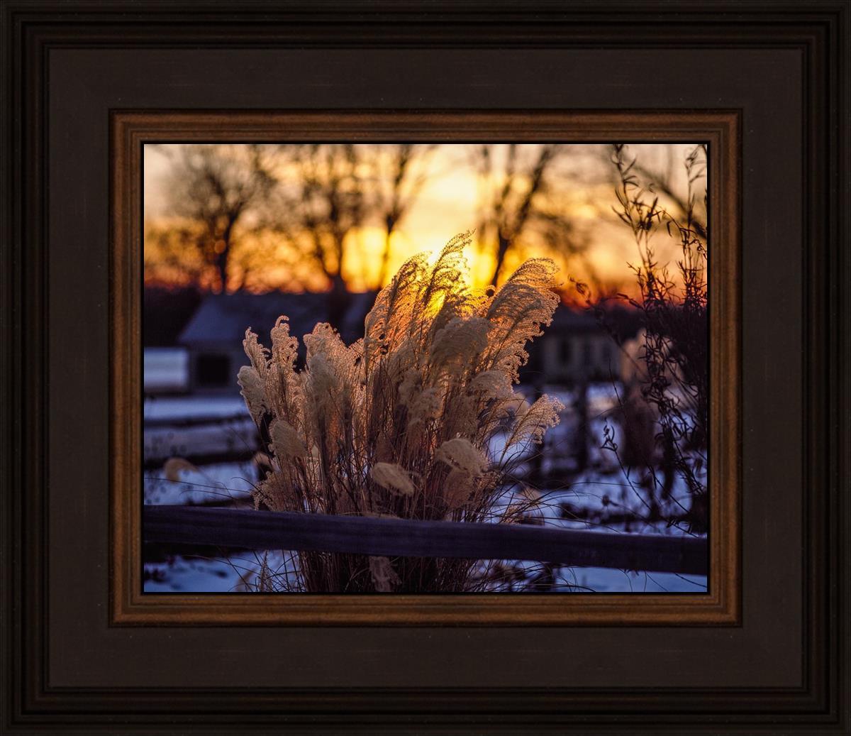 Plate 1 - Sunset Grasses