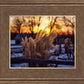 Plate 1 - Sunset Grasses
