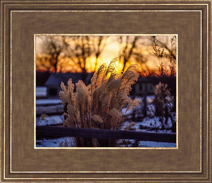 Plate 1 - Sunset Grasses