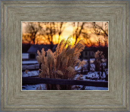 Plate 1 - Sunset Grasses