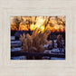 Plate 1 - Sunset Grasses