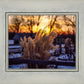 Plate 1 - Sunset Grasses