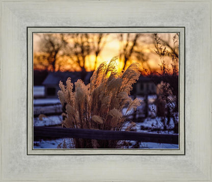 Plate 1 - Sunset Grasses
