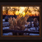 Plate 1 - Sunset Grasses