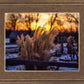 Plate 1 - Sunset Grasses