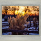 Plate 1 - Sunset Grasses