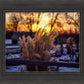Plate 1 - Sunset Grasses