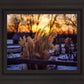 Plate 1 - Sunset Grasses