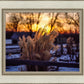 Plate 1 - Sunset Grasses