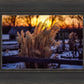 Plate 1 - Sunset Grasses