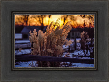 Plate 1 - Sunset Grasses